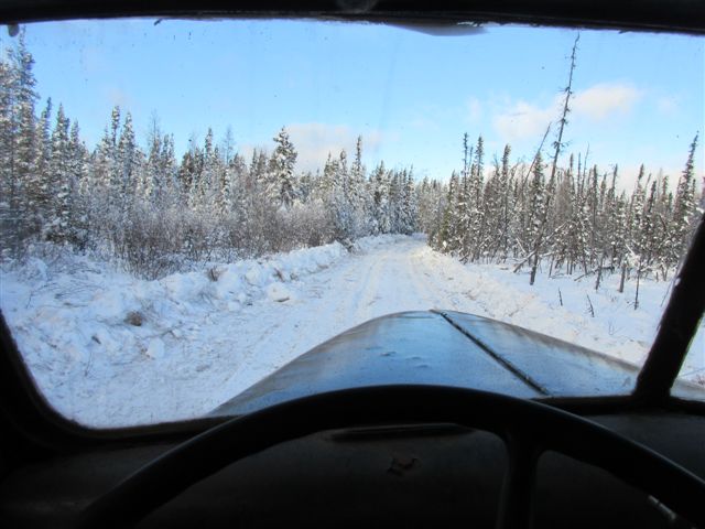 swamp windshield